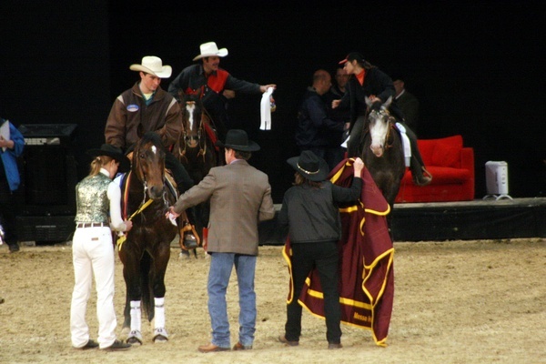 Pferd und Jagd 2008  058.jpg